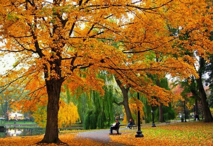 Autumn in Boston